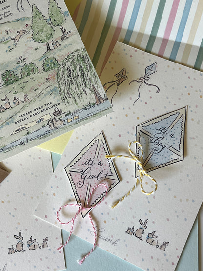 Kites at the Park Gender Reveal (Set of 5)