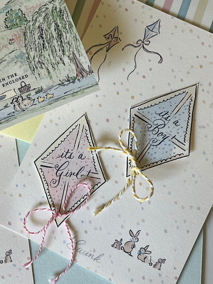 Kites at the Park Gender Reveal (Set of 5)