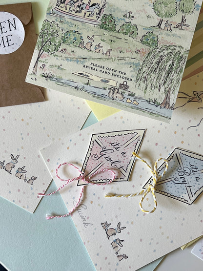 Kites at the Park Gender Reveal (Set of 5)
