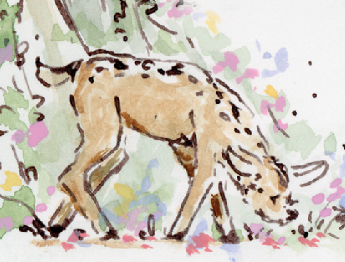 Forest Fawn Stationery Set