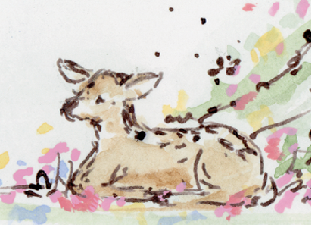 Forest Fawn Stationery Set